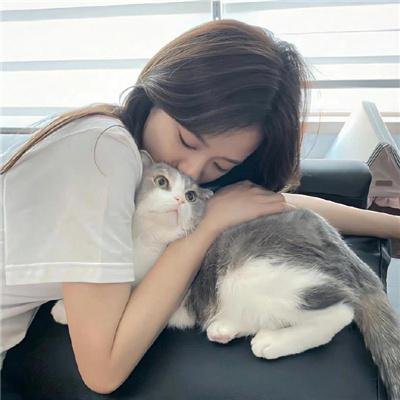 好莱坞芭比电影版